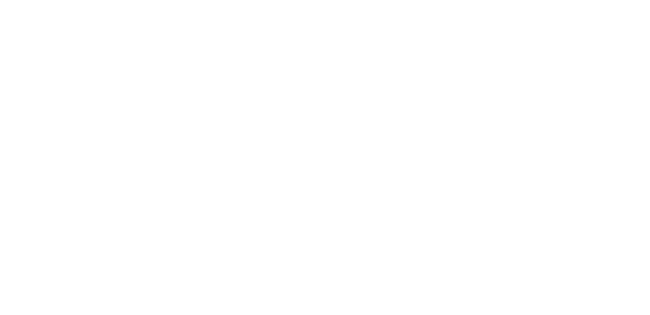 Nepwins